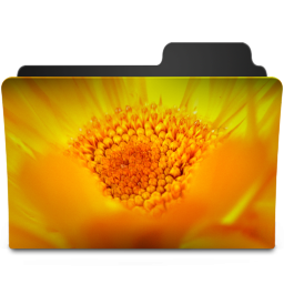 Flowers Yellow Icon 256x256 png